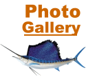 Photo Gallery