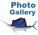 Photo Gallery